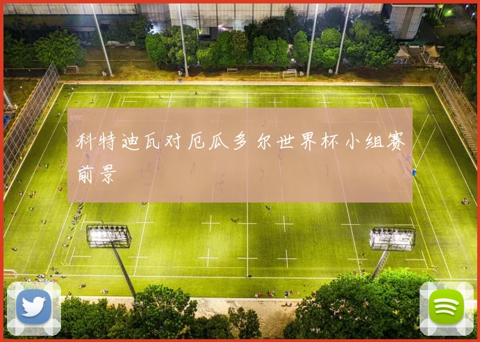 科特迪瓦对厄瓜多尔世界杯小组赛前景