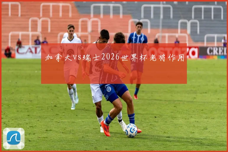 加拿大vs瑞士2026世界杯老将作用