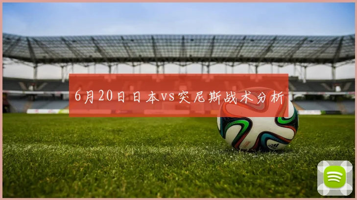 6月20日日本vs突尼斯战术分析