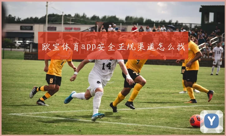 欧宝体育app安全正规渠道怎么找