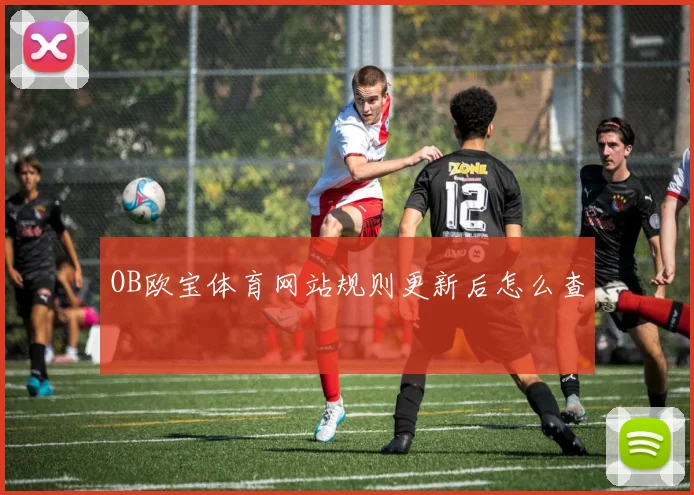 OB欧宝体育网站规则更新后怎么查